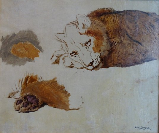 Lion study Rosa Bonheur